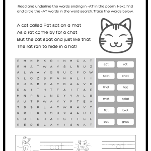 Phonics activity workbook